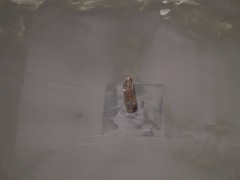 Click for large version