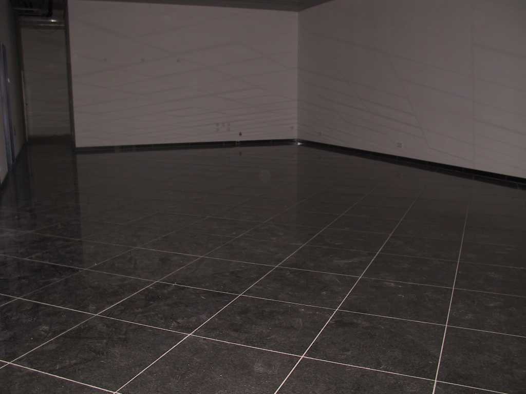 Click for original image 36k 1024x768